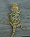Male Hypo Leather Tiger